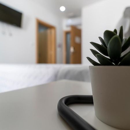 Alojamento Girassol - Guest House - Quarto Com Casa De Banho Privativa Castelo Branco  Buitenkant foto